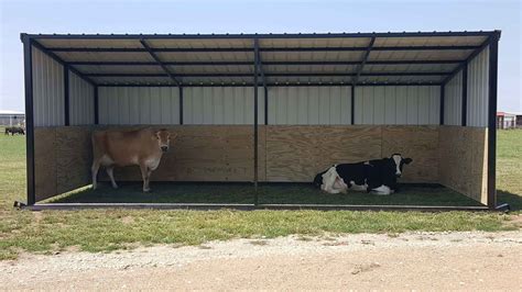 metal sheep enclosure|best barn for sheep.